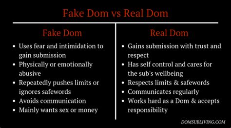 ninjakol.dom|is doms good or bad.